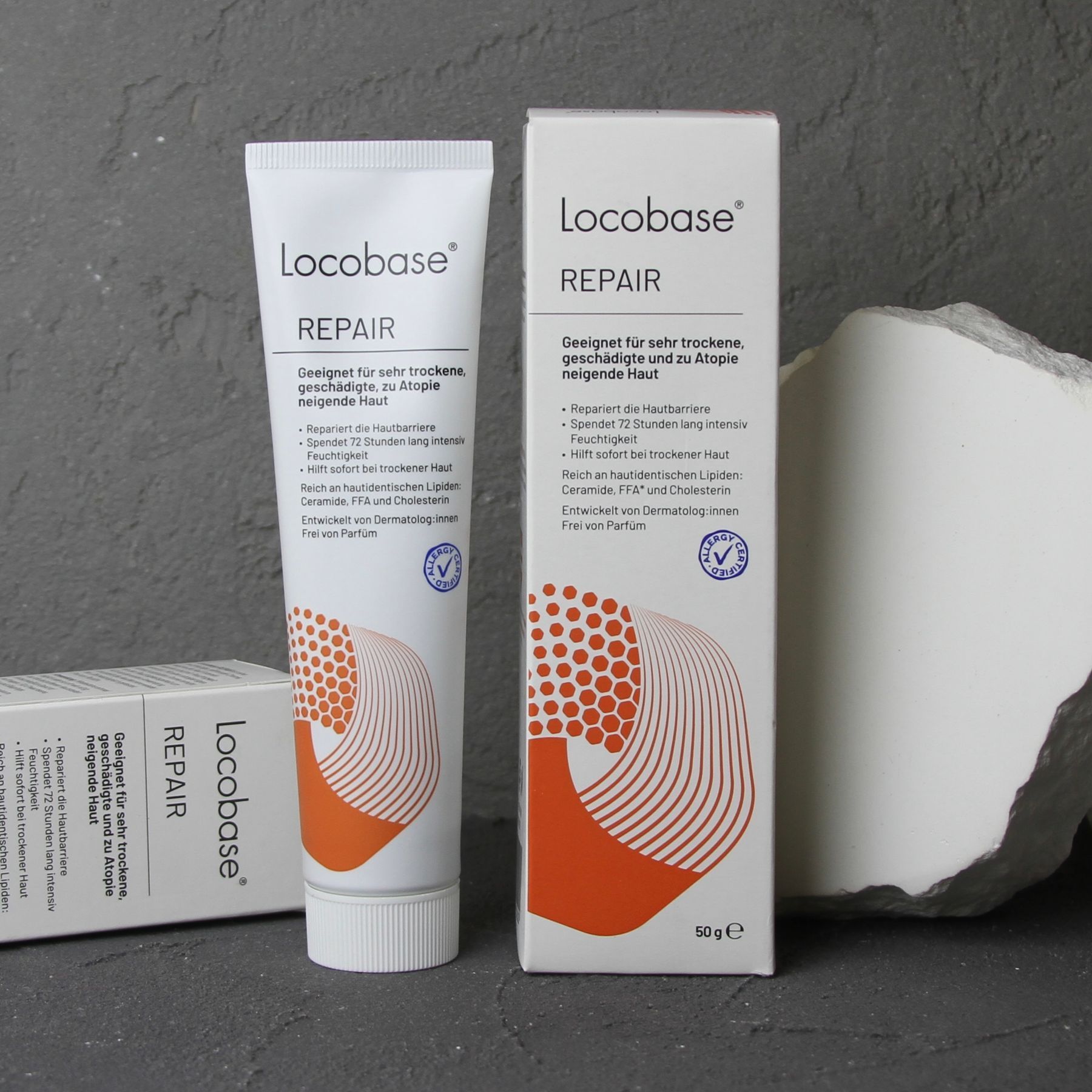 locobase-repair-lokobeiz-ripea